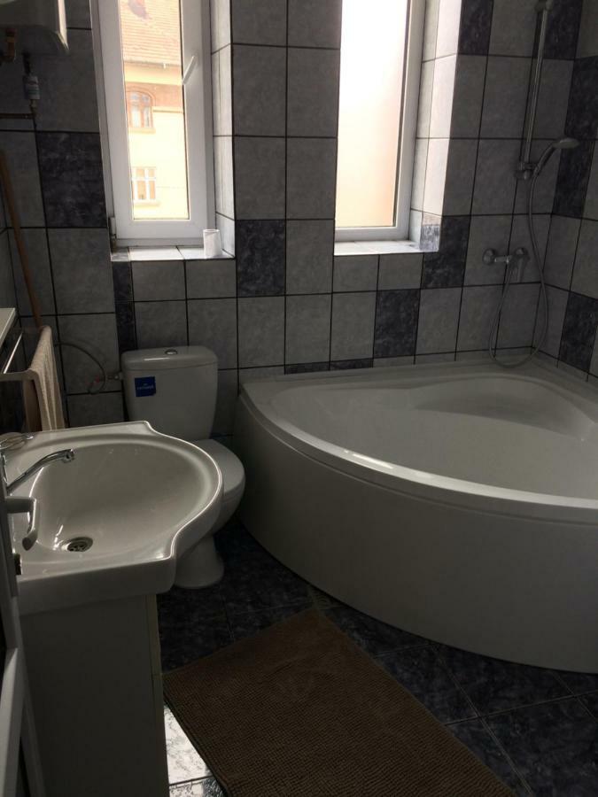 Garsoniera Mandrilor Apartment Slănic Екстериор снимка